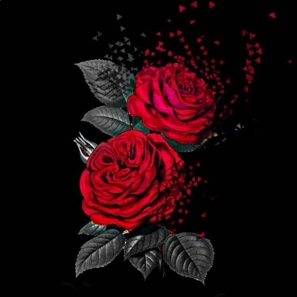 Meet your Posher, Kaena